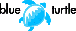 Blue Turtle Technologies Logo