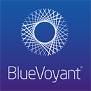 BlueVoyant LLC Logo