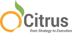 Citrus Consulting Services FZ LLC Logo